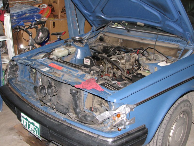 deerdamaged1987volvo240dl.jpg